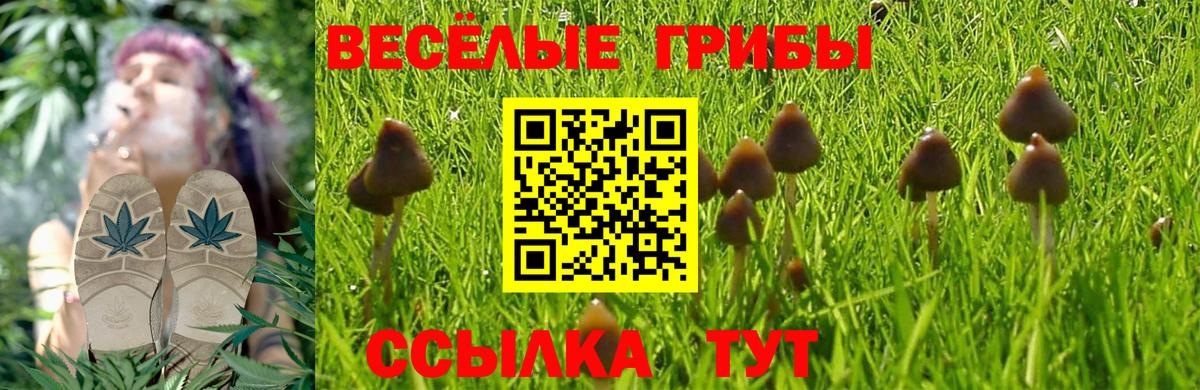 Батайск  Галлюциногенные грибы GOLDEN TEACHER  Вход с VPN 